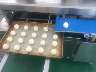 Γραμμή παραγωγής 380V ψωμιού κουλουριών Kaya αισθητήρων της Panasonic αυτόματη